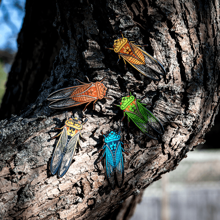 Greengrocer Cicada Bug Box by The Roving House