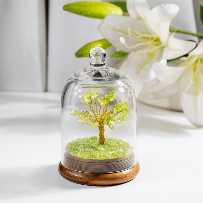 Peridot Healing Crystal Dome Tree | Crystal tree | chips tree