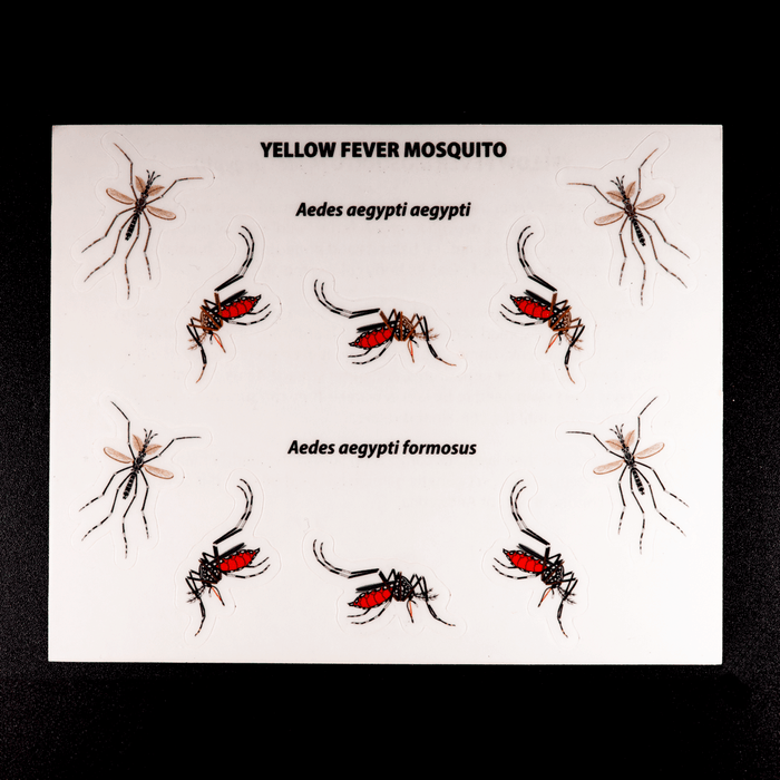 Yellow Fever Mosquito Sticker Sheet by The Roving House