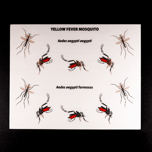 Yellow Fever Mosquito Sticker Sheet by The Roving House